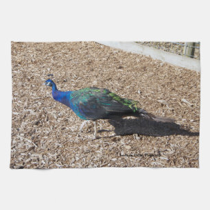 Indian Blue Peafowl kitchen towel