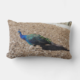 Indian Blue Peafowl lumbar pillow
