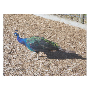 Indian Blue Peafowl tablecloth