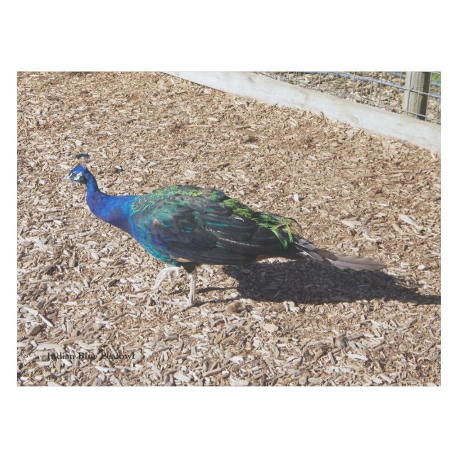 Indian Blue Peafowl tablecloth (Front (Horizontal))