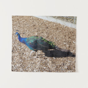 Indian Blue Peafowl tapestry