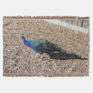 Indian Blue Peafowl throw blanket