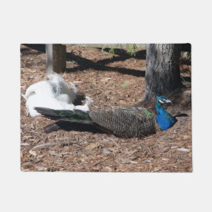 Indian Blue & White Pheasants door mat