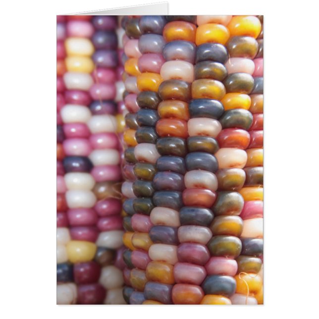 Indian Corn (Front)