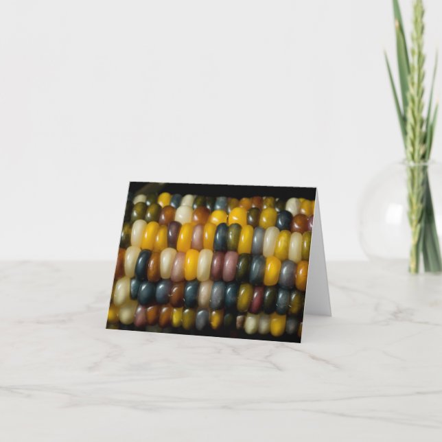 Indian corn (blank) card (Front)