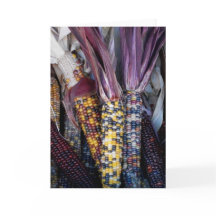 'Indian Corn' Blank Greeting Card