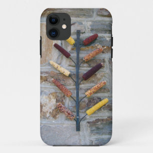 Indian Corn iPhone 11 Case