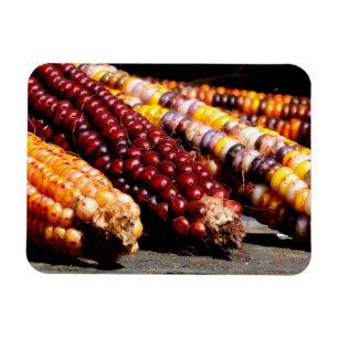 Indian Corn Magnet