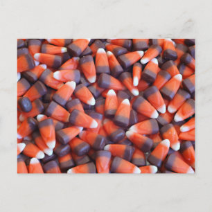 Indian Corn Postcard