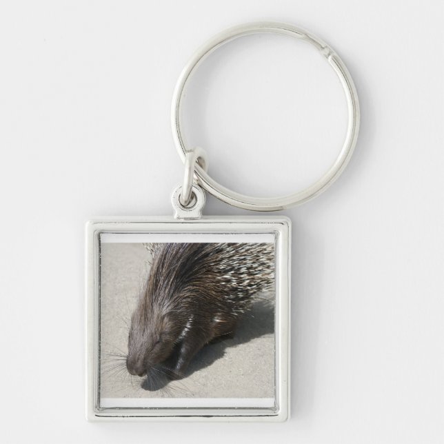 Indian Crested Porcupine Key Ring (Front)