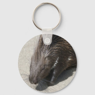 Indian Crested Porcupine Key Ring