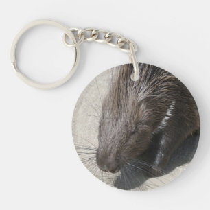 Indian Crested Porcupine Key Ring