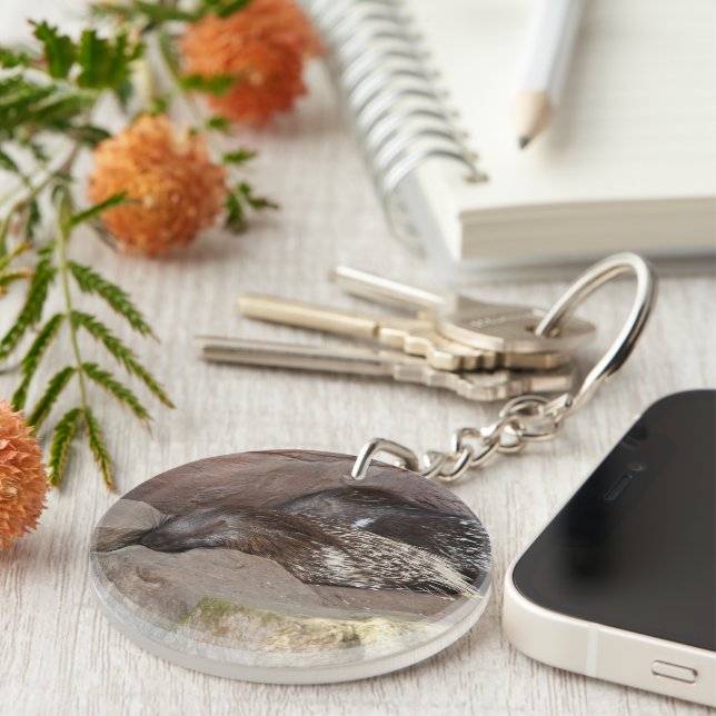 Indian Crested Porcupines Key Ring (Front Right)