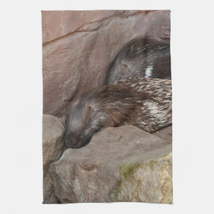 Indian Crested Porcupines Tea Towel