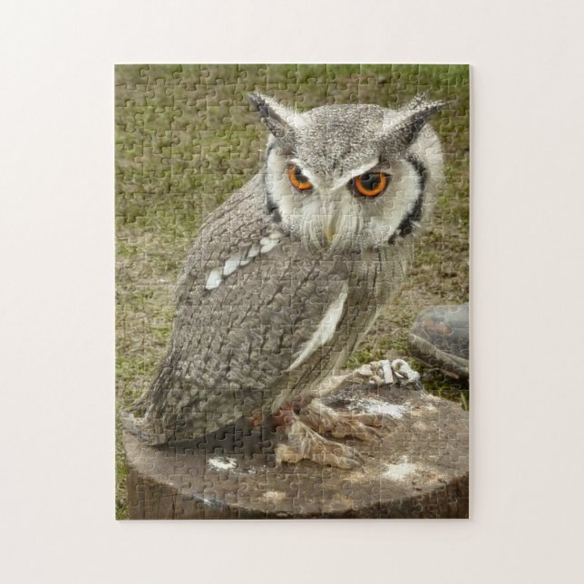 Indian Eagle Owl Jigsaw Puzzle (Vertical)