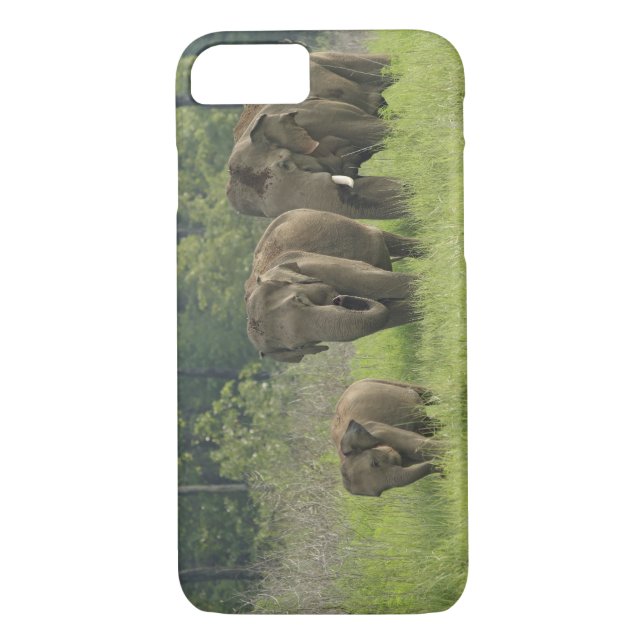 Indian Elephant Family Case-Mate iPhone Case (Back)