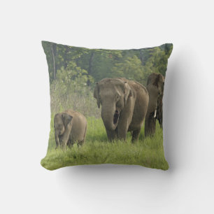 Indian Elephant Family Cushion