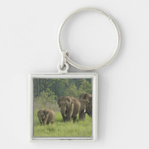Indian Elephant Family Key Ring