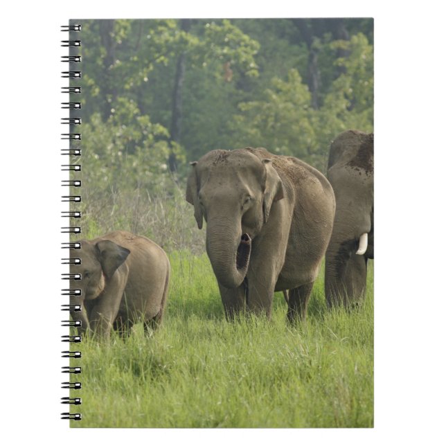 Indian Elephant Family Notebook (Front)