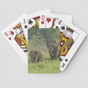 Indian Elephant Family Playing Cards