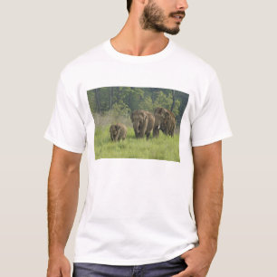 Indian Elephant Family T-Shirt