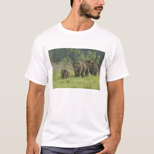 Indian Elephant Family T-Shirt (Front)