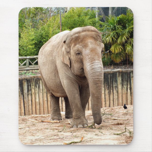 Indian elephant mouse pad (Front)