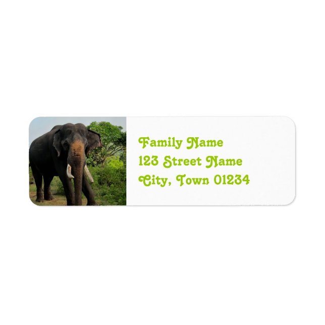 Indian Elephant Return Address Label (Front)