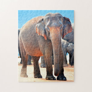 Indian Elephant Sri Lanka. Jigsaw Puzzle