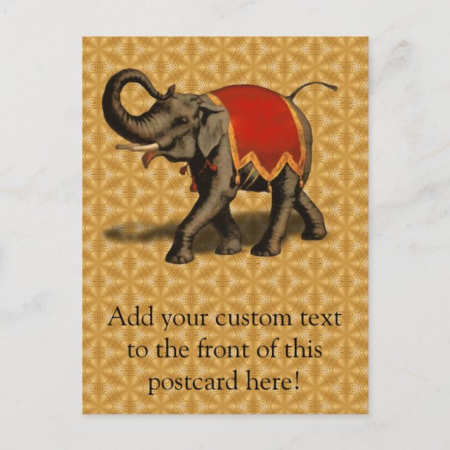 Indian Elephant w/Red Cloth Postcard (Front)