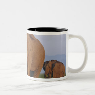 Indian Elephants in the Grassland Two-Tone Coffee Mug