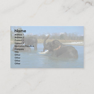 Indian Elephants lying down, bathing Business Card