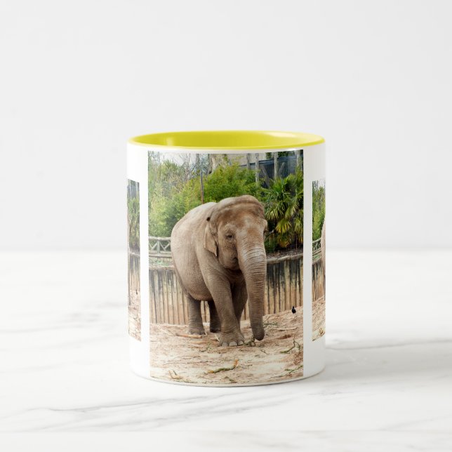 Indian elephants Two-Tone coffee mug (Center)