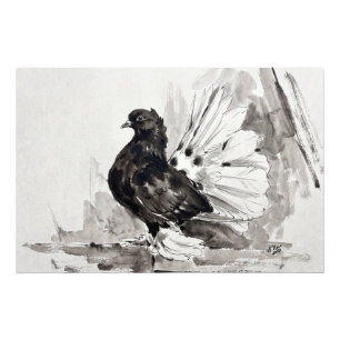 Indian Fantail Pigeon Eyeliner Hen Photo Print