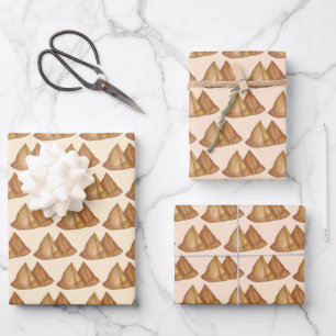 Indian Food Vegetarian Cooking Fried Samosa Pastry Wrapping Paper Sheet