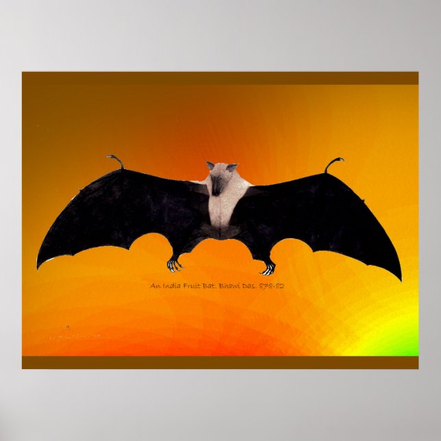 Indian Fruit Bat Poster (Front)