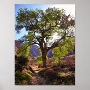 Indian Garden Poster