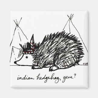 Indian Hedgehog Gene magnet
