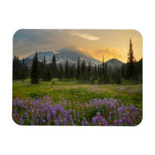 Indian Henry's Hunting Ground at sunrise Magnet