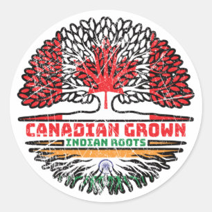 Indian India Canadian Canada Tree Roots Flag Classic Round Sticker