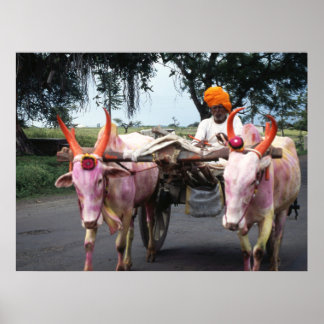 Indian Man Print, Value Poster Paper (Matte)
