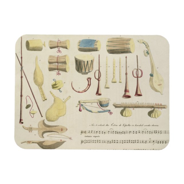Indian Musical Instruments, plate 23 from 'Orienta Magnet (Horizontal)