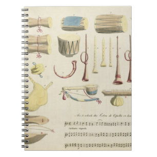 Indian Musical Instruments, plate 23 from 'Orienta Notebook