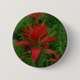 Indian paint brush 6 cm round badge
