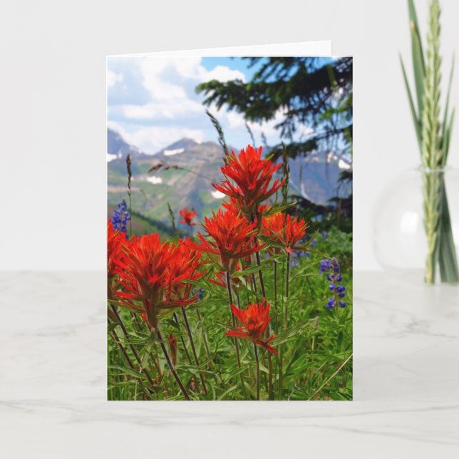 Indian Paint Brush Card (Front)