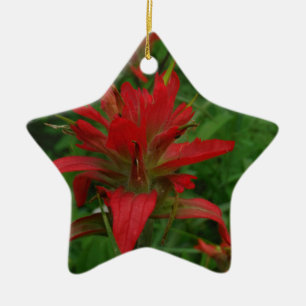 Indian paint brush ceramic tree decoration
