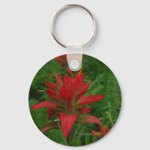 Indian paint brush key ring