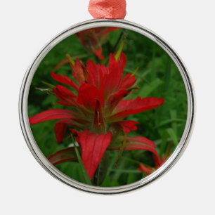 Indian paint brush metal ornament