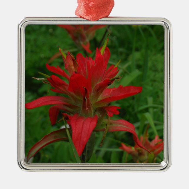 Indian paint brush metal ornament (Front)