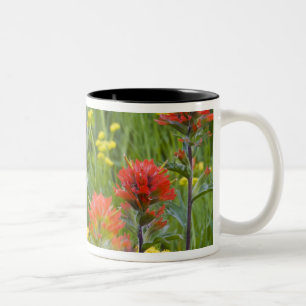 Indian paintbrush and biscuitroot wildflowers Two-Tone coffee mug
